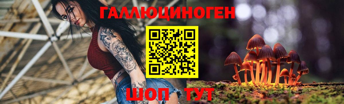 Сосновоборск  дарнет шоп  Вход с VPN  Псилоцибиновые грибы прущие грибы 